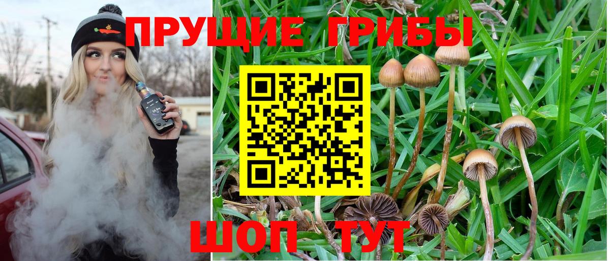 Галлюциногенные грибы ЛСД  Вход с VPN  Советская Гавань 