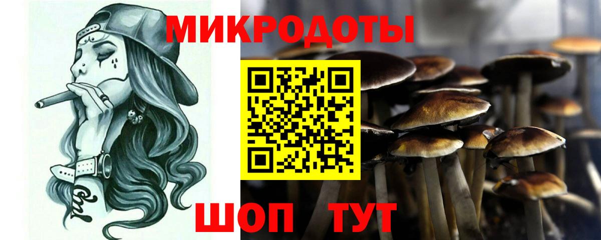 Псилоцибиновые грибы GOLDEN TEACHER Советская Гавань